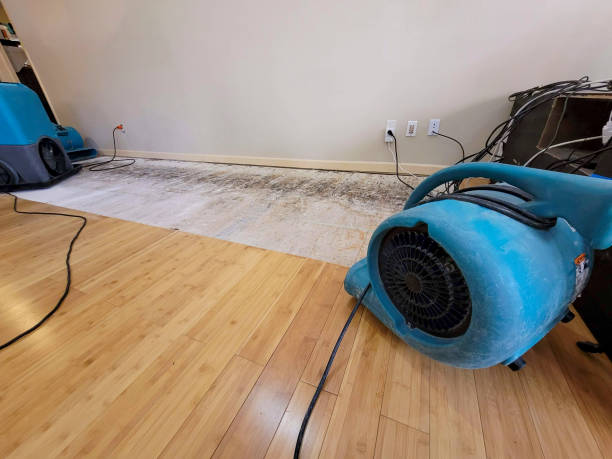 Professional Sewage Cleanup technician working in Arnold, CA